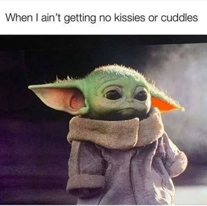 Meet your Posher, Judy